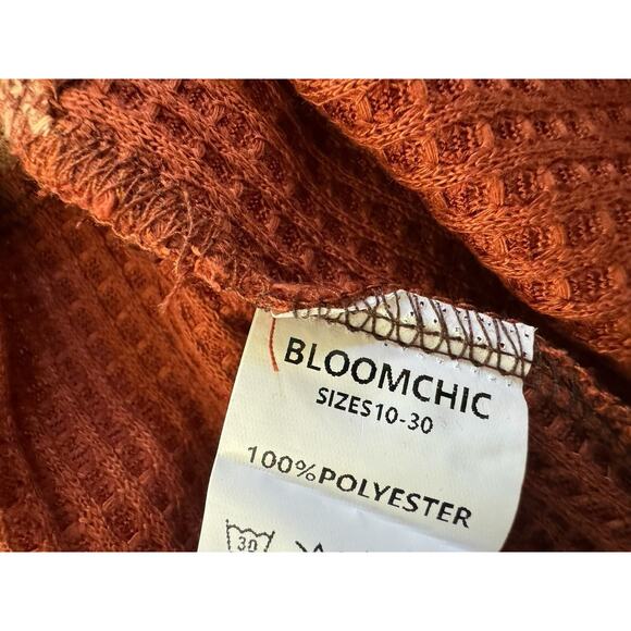 NWT Bloomchic 12 Waffle Vneck Colorblock Brown Rust Beige Long Sleeve Top #3620 - Picture 11 of 11